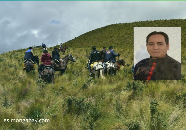 Páramos Chimborazo